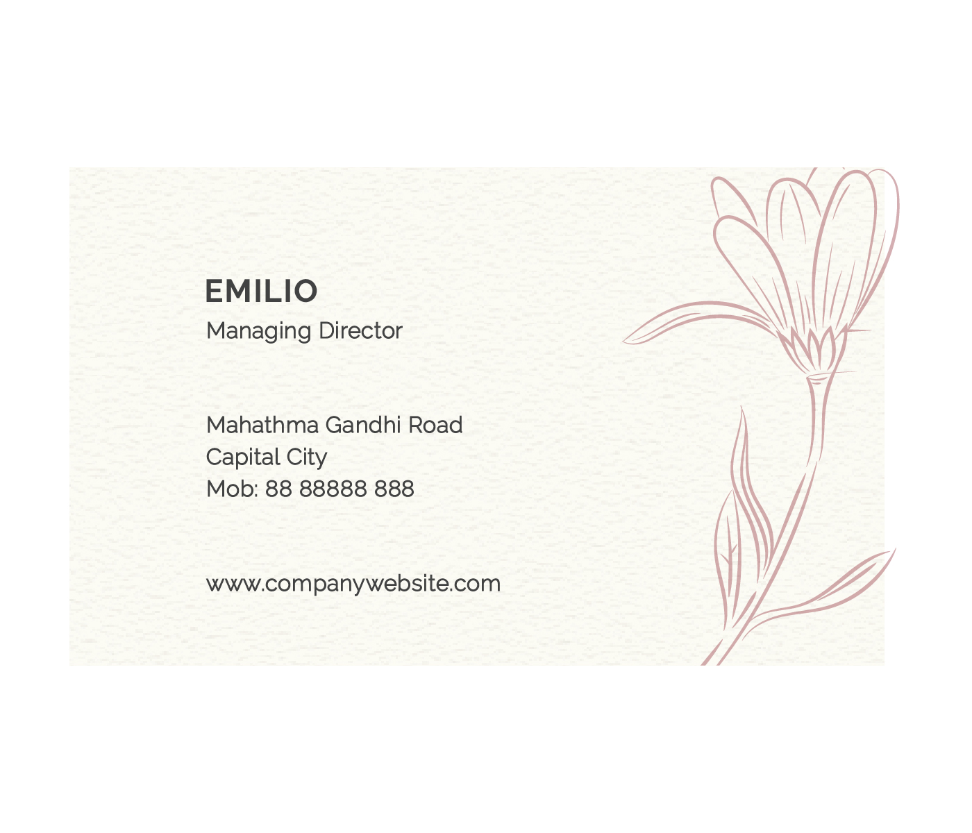 Standard Business Cards 